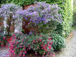 Blumenschmuck