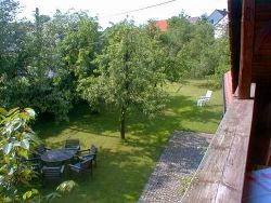 Blick in den Garten